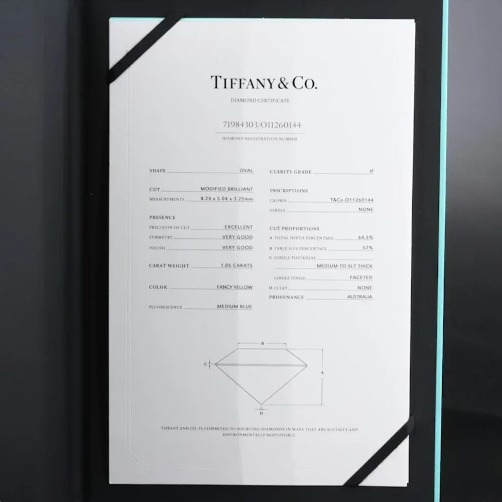 Tiffany & Co. Novo 18K 1.21 CTW IF Fancy Yellow Diamond Engagement Ring